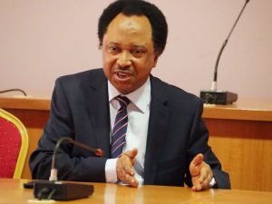 Don’t Weaponise Electricity Supply To Niger – Shehu Sani Tells Tinubu