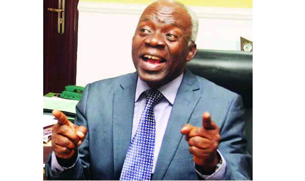 ECOWAS can’t justify intervention in Niger without UN’s approval – Falana