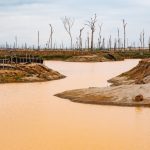 Muddied tropical rivers reveal magnitude of global gold mining boom: Study