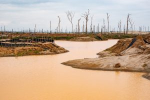 Muddied tropical rivers reveal magnitude of global gold mining boom: Study