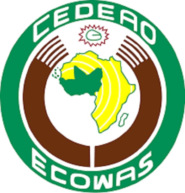 Niger coup: Group drags ECOWAS to court over proposed military intervention