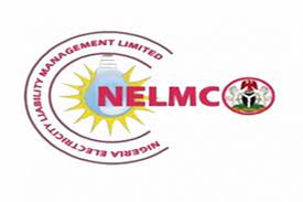 Tinubu Appoints New NELMCO Boss, Elective Director