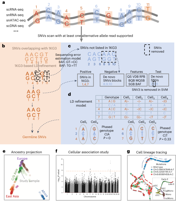 Single-nucleotide variant calling in single-cell sequencing data with Monopogen