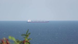 Second vessel leaves Odesa through temporary Black Sea corridor
