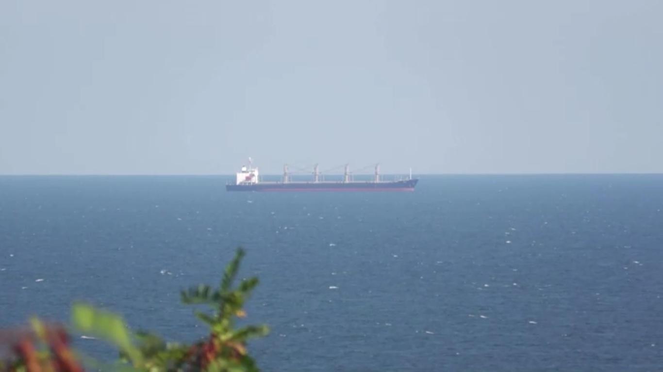 Second vessel leaves Odesa through temporary Black Sea corridor