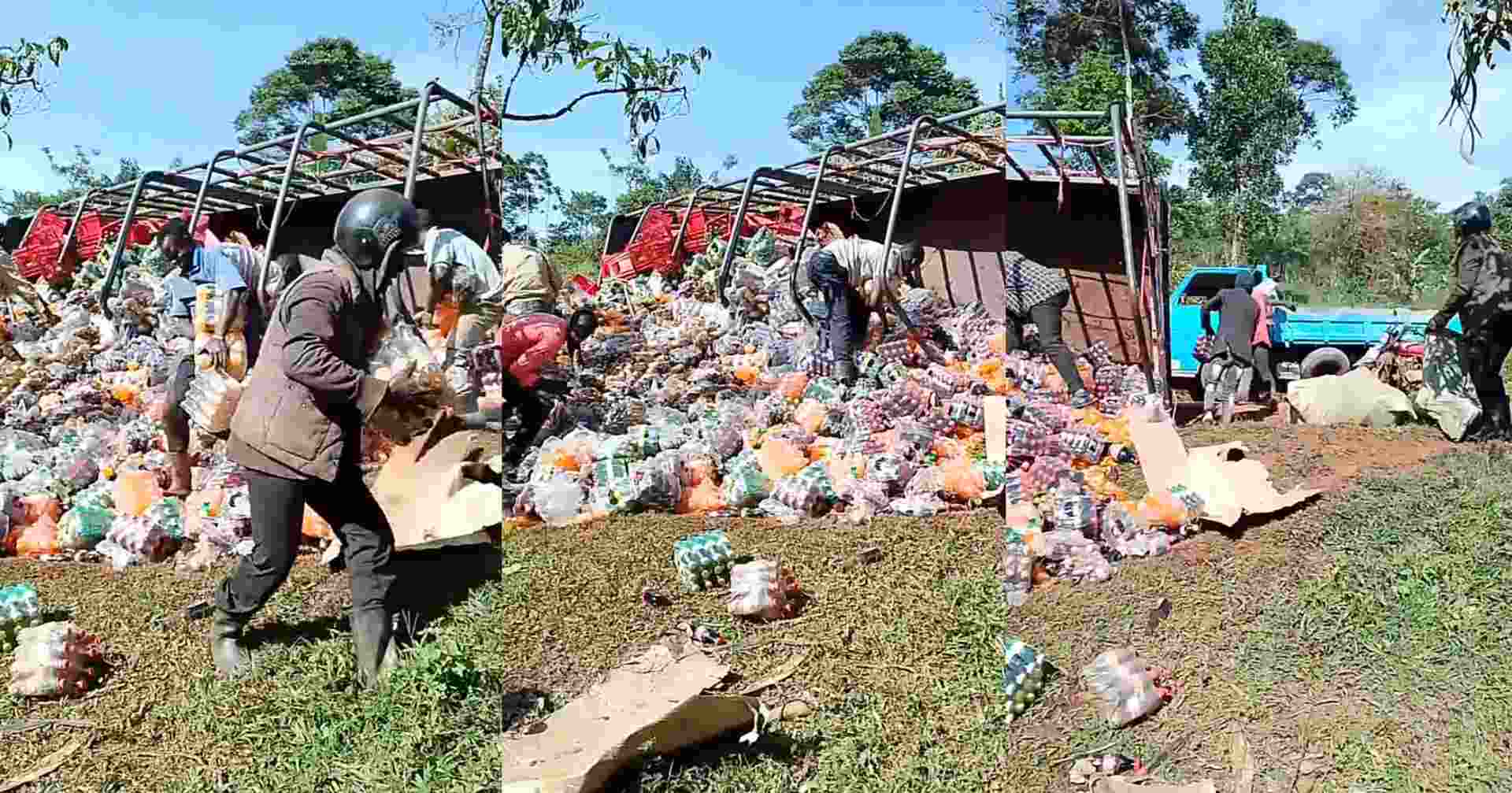 “Christmas came early” – Moment residents rush as truck fully loaded with soft drinks falls