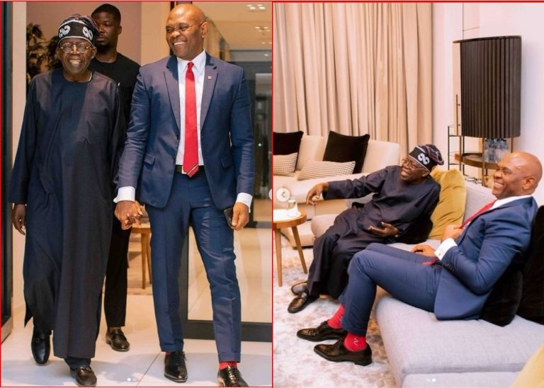 ‘It’s All About Nigerian People’, Elumelu Says After Meeting Tinubu