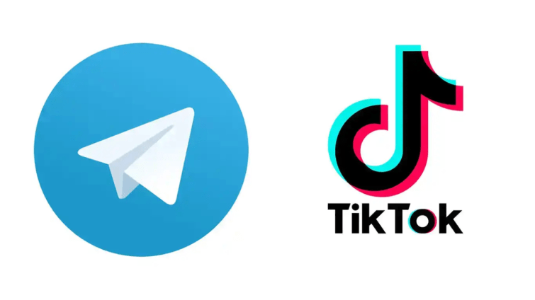 Somali govt bans TikTok, Telegram over insecurity