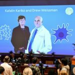 Nobel prize goes to mRNA COVID-19 vaccine researchers