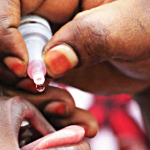 WHO, Borno begin polio vaccination