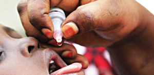WHO, Borno begin polio vaccination