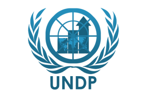 UNDP hails Yobe’s post-insurgency recovery strides