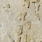 Oldest footprints in North America push back human arrival