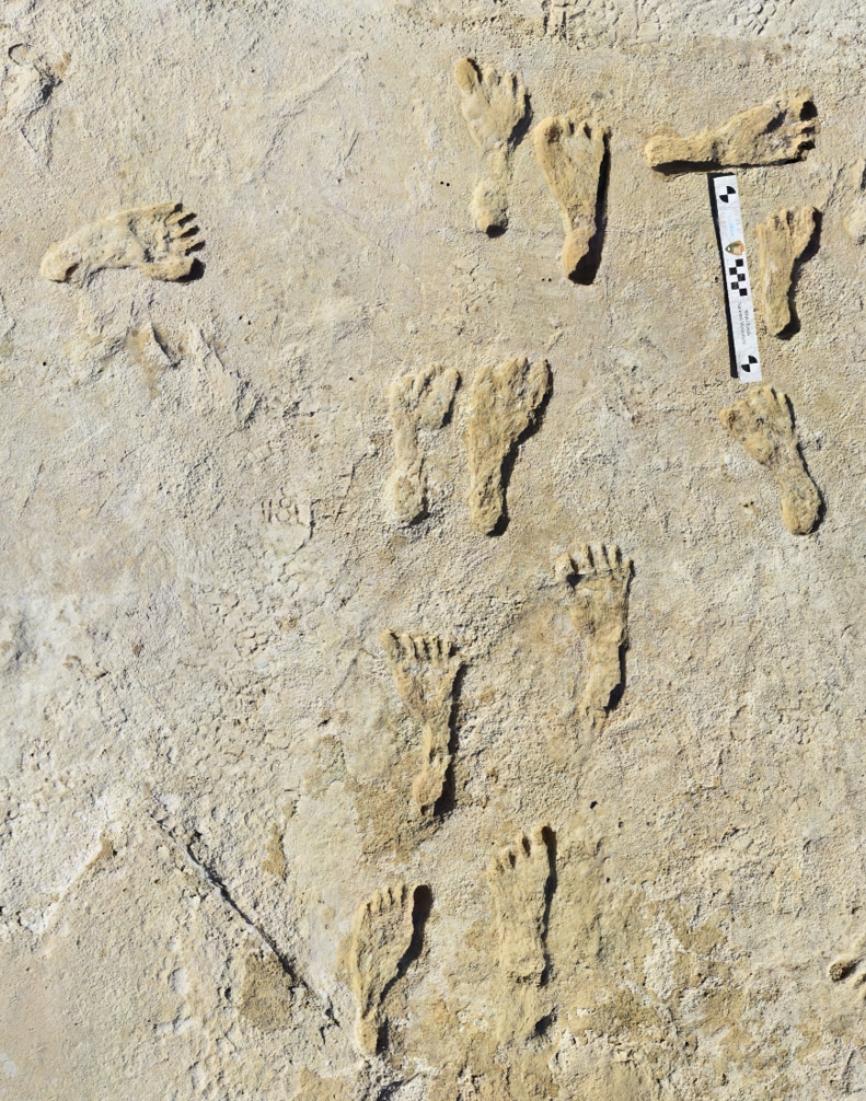 Oldest footprints in North America push back human arrival