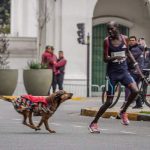 Dog blamed for denying Kenyan marathon victory