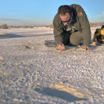 Do the ancient human footprints at White Sands date back to the last ice age?