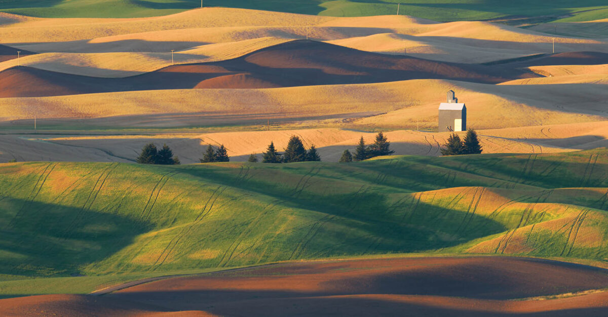 The Hills Are Alive