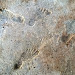 Ancient Footprints Affirm People Lived in the Americas More Than 20,000 Years Ago