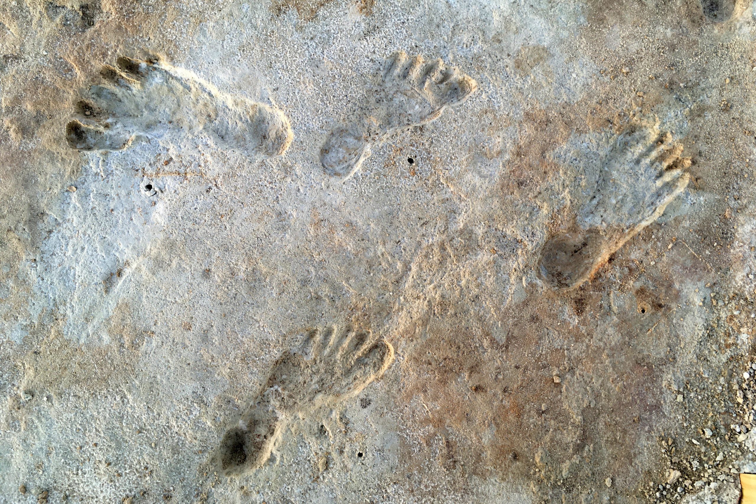 Ancient Footprints Affirm People Lived in the Americas More Than 20,000 Years Ago