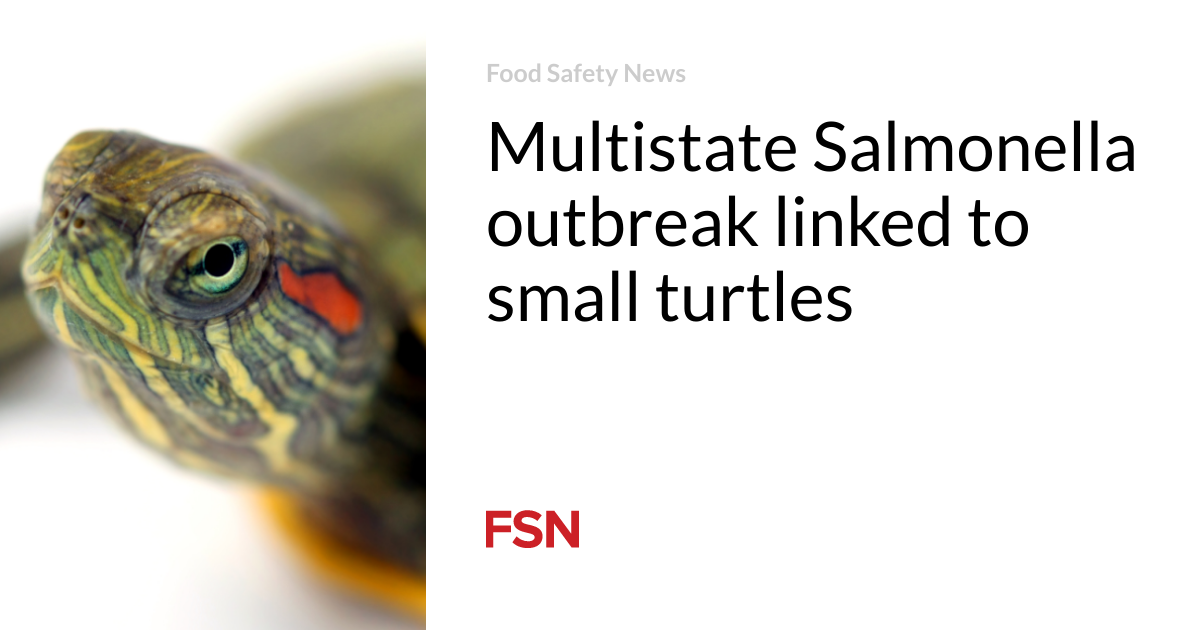 Multistate Salmonella outbreak linked to small turtles