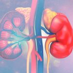 Habits that could damage your kidneys