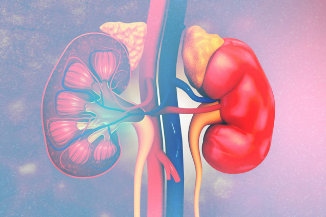 Habits that could damage your kidneys