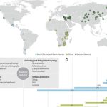 Going local with ancient DNA: A review of human histories from regional perspectives | Science