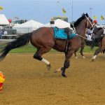 After Horse Racing Injury, Stakes-Winning Equestrian Jockey Zack Ziegler’s Recent Updates Unveils His Journey to Recovery 