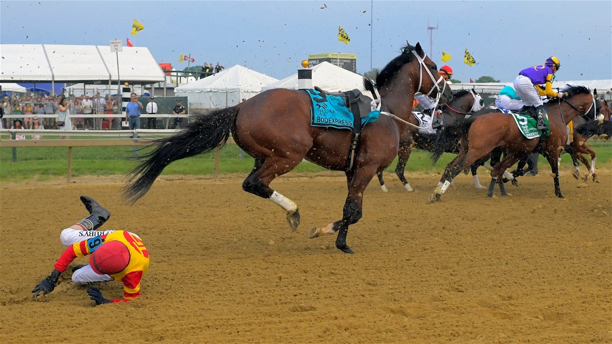 After Horse Racing Injury, Stakes-Winning Equestrian Jockey Zack Ziegler’s Recent Updates Unveils His Journey to Recovery 