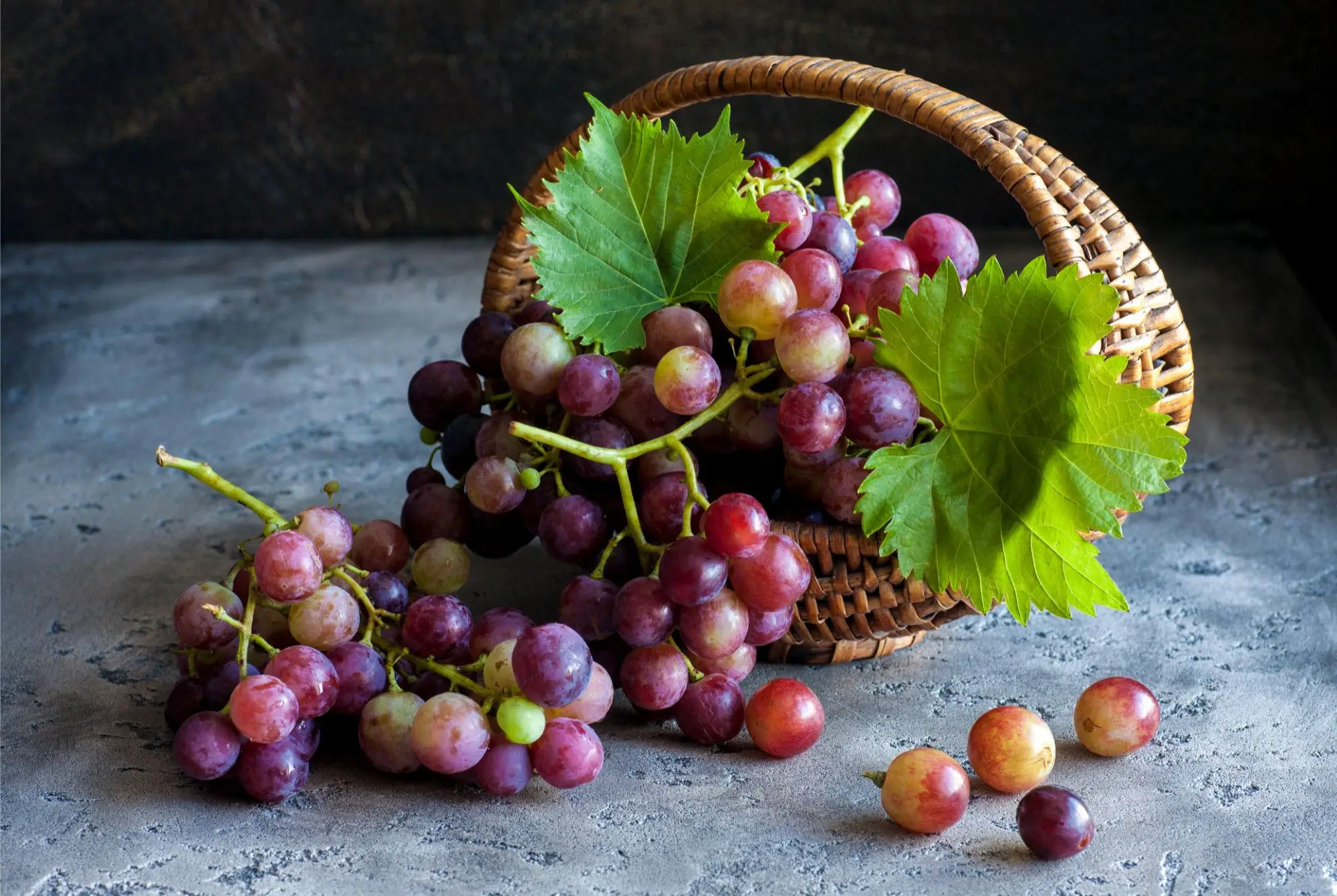 Scientists Discover New Health Benefits of Grapes