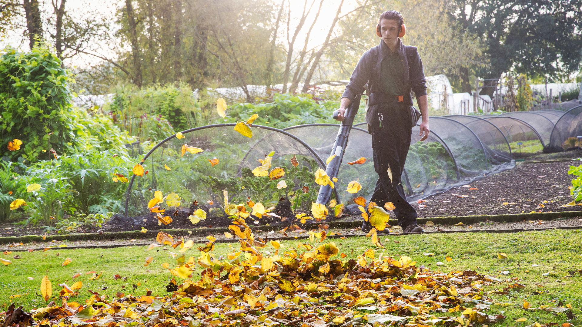 My number one fall gardening job needs to be done weekly or your lawn could die & it’s time to move your furniture too