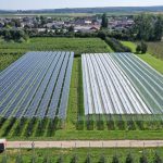 Using agrivoltaics on 1% of EU farmland could lead to 944 GW installed capacity, JRC says