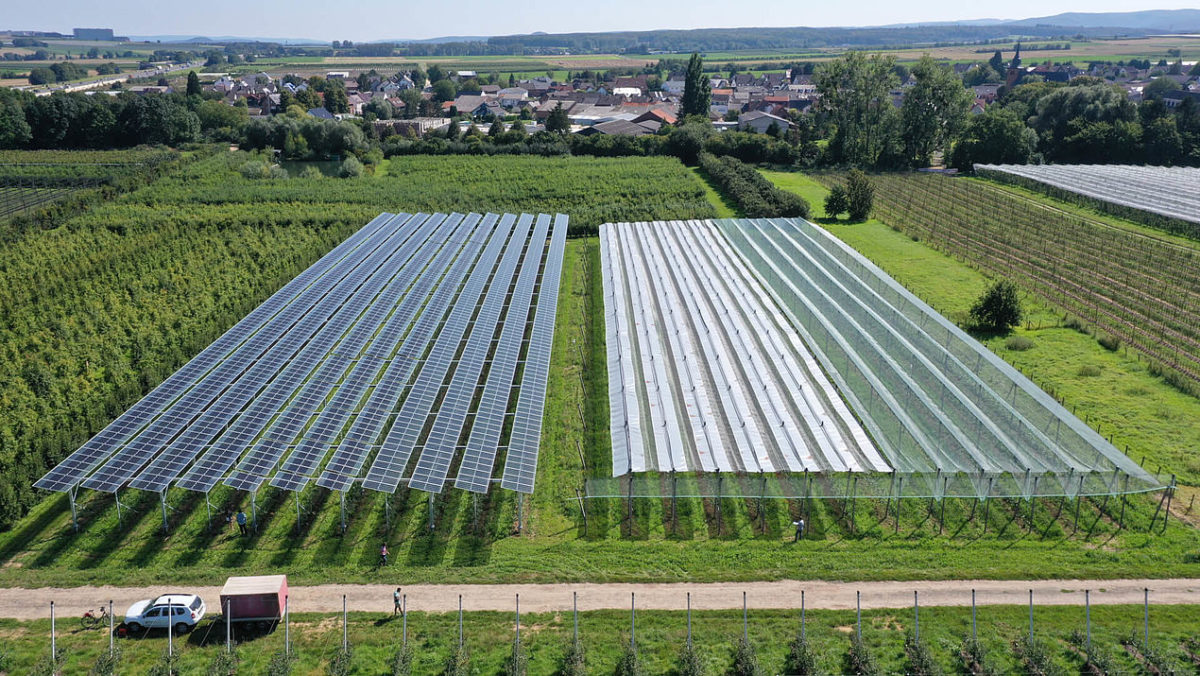 Using agrivoltaics on 1% of EU farmland could lead to 944 GW installed capacity, JRC says