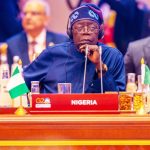 ‘G20 will remain incomplete without Nigeria,’ President Tinubu addresses World Leaders at the Summit