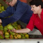 Yess! AhHa! Now! New names, new varieties of mango in supermarkets after years of development