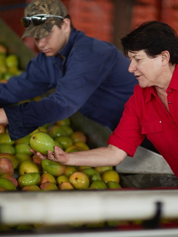 Yess! AhHa! Now! New names, new varieties of mango in supermarkets after years of development