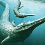 New Research Sheds Light on Enigmatic Jurassic Crocodile Relatives