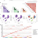 Spatial multimodal analysis of transcriptomes and metabolomes in tissues