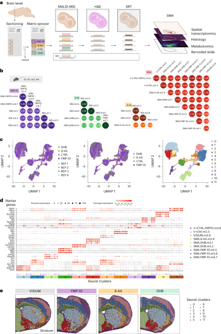 Spatial multimodal analysis of transcriptomes and metabolomes in tissues