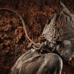 We thought we knew the secrets of Europe’s bog bodies. We didn’t.