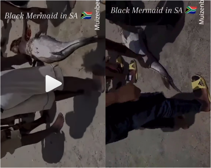 Black Mermaid Caught In South Africa; Netizens Go Berserk (VIDEO)