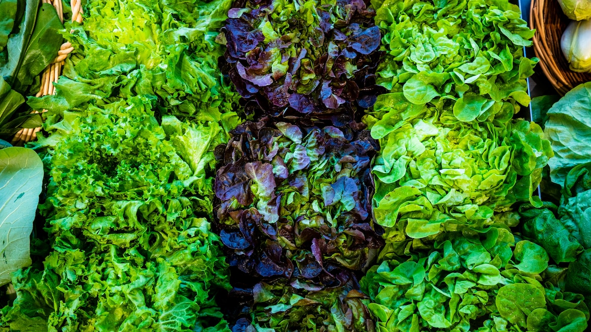 Which leafy greens are healthiest—and which might make you sick?