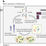 Integration of spatial and single-cell data across modalities with weakly linked features