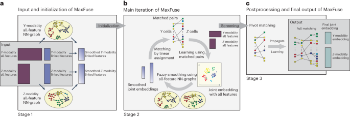 Integration of spatial and single-cell data across modalities with weakly linked features