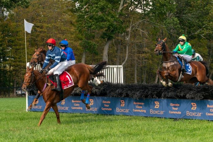 American Grand National Fun Facts For Far Hill Races 2023