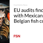 EU audits find issues with Mexican and Belgian fish controls