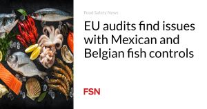 EU audits find issues with Mexican and Belgian fish controls