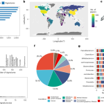 BugSigDB captures patterns of differential abundance across a broad range of host-associated microbial signatures