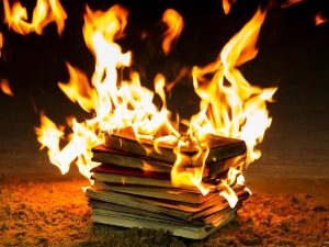 Brown-John: Canada experiencing ‘widespread insanity’ of book-banning