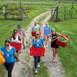 Volunteers across U.S. team up with farms to bring fresh produce to those in need